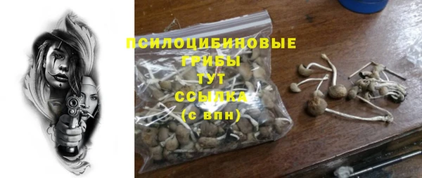 apvp Армянск