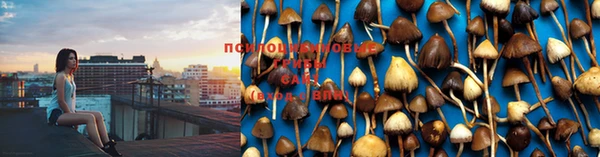 бошки Алзамай