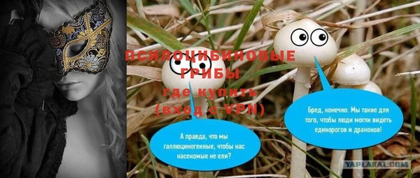 бошки Алзамай