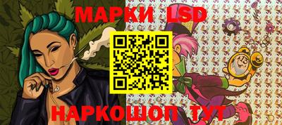 спиды Новодвинск
