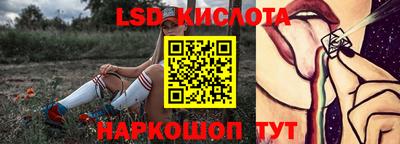 спиды Новодвинск