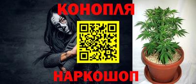 спиды Новодвинск