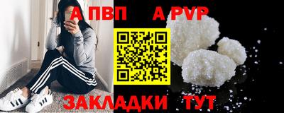 спиды Новодвинск