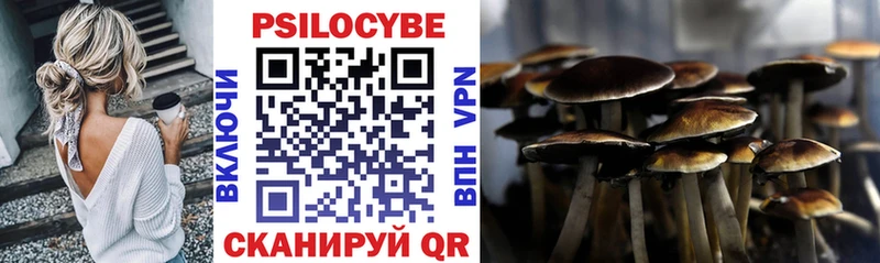 Псилоцибиновые грибы прущие грибы Тайшет